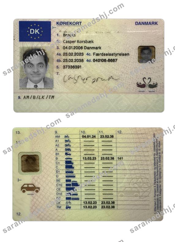 Denmark driving license 2023-present